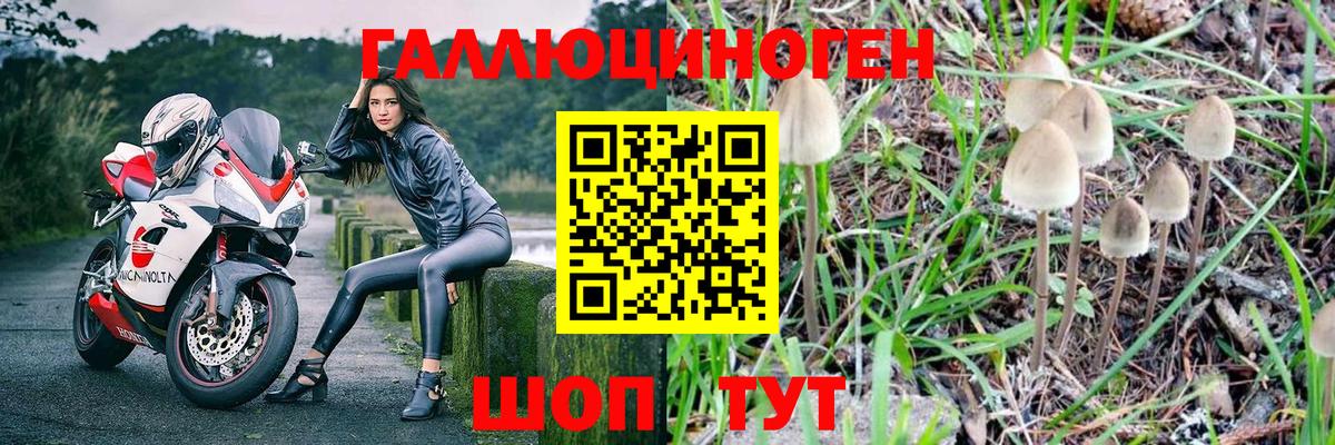 Псилоцибиновые грибы Magic Shrooms Муром